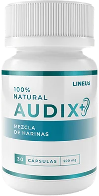 Audix