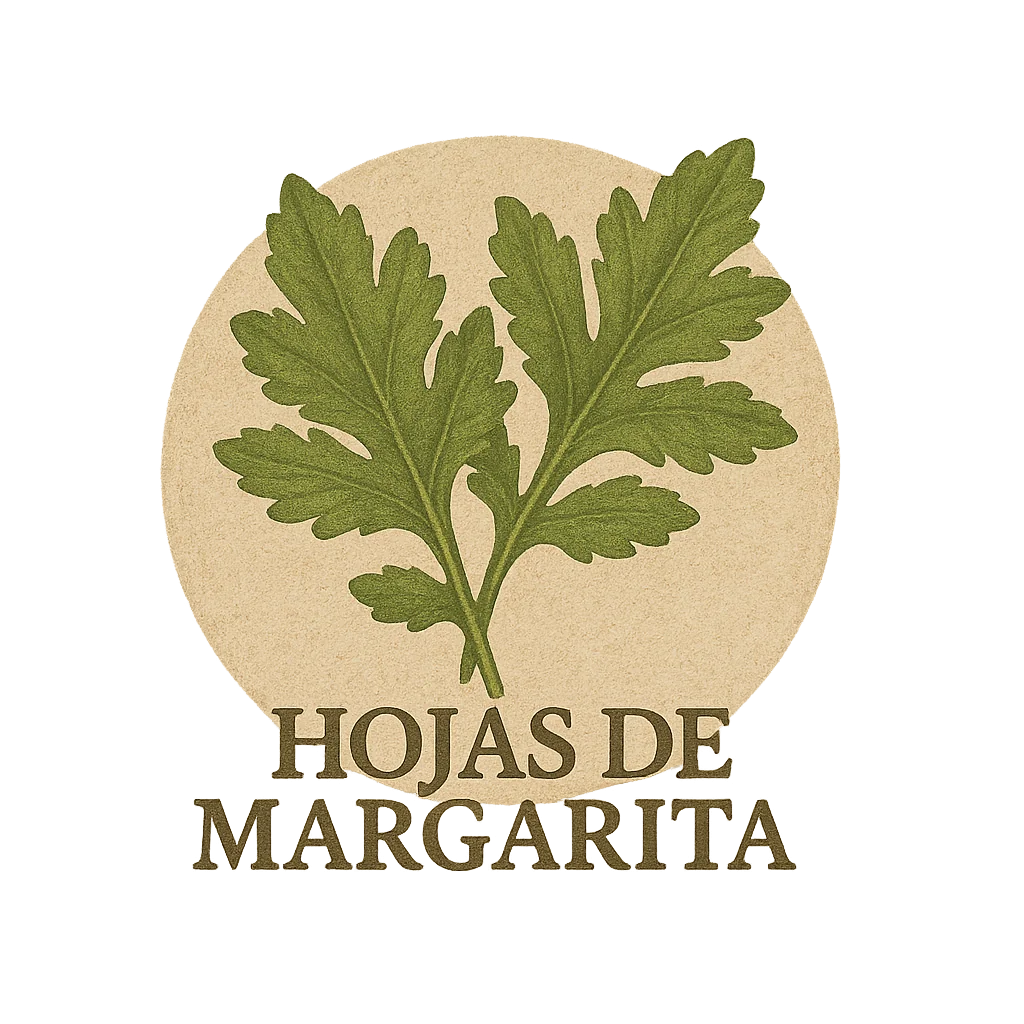 hojas de margarita